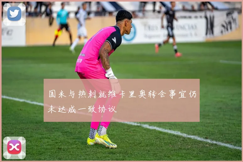 国米与热刺就维卡里奥转会事宜仍未达成一致协议
