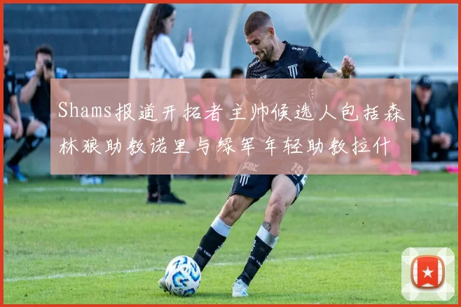 Shams报道开拓者主帅候选人包括森林狼助教诺里与绿军年轻助教拉什布鲁克
