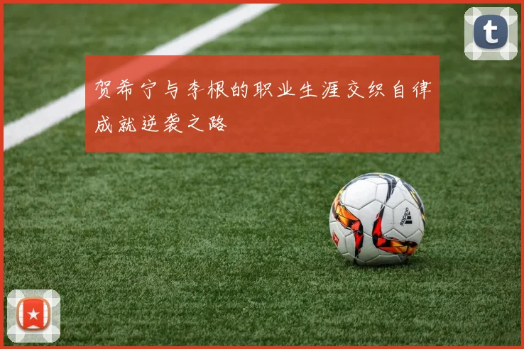 贺希宁与李根的职业生涯交织自律成就逆袭之路