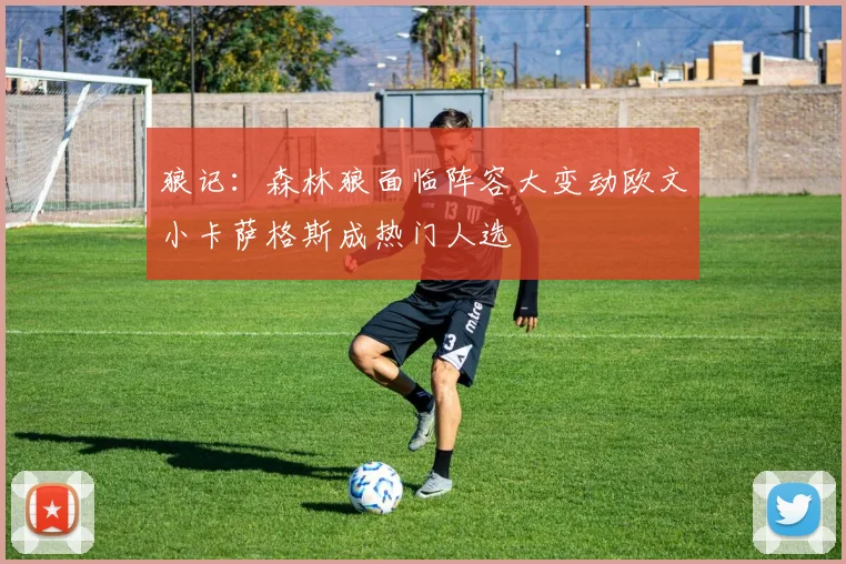 狼记：森林狼面临阵容大变动欧文小卡萨格斯成热门人选
